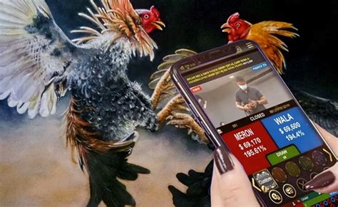 cockfighting online betting
